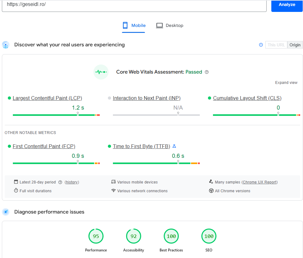 Mobile Page Speed Audit Geseidl